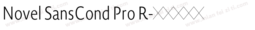 Novel SansCond Pro R字体转换